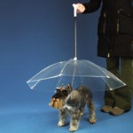 Parasol dla psa - dogbrella